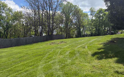 Photo of Michael E.'s yard after getting lawn care in Highland Springs, VA