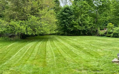 Photo of Greg P.'s yard after getting lawn care in Reading, MA