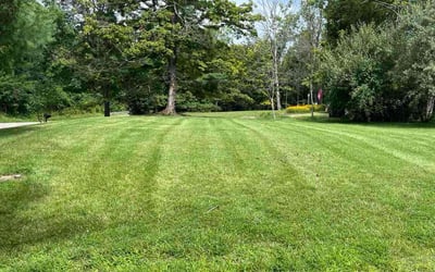 Photo of Cheryl C.'s yard after getting lawn care in New Berlin, WI