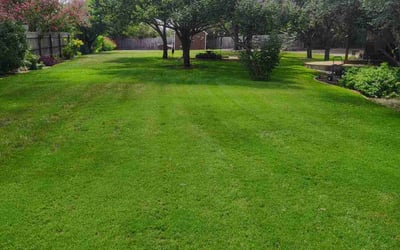 Photo of David N.'s yard after getting lawn care in Gainesville, FL