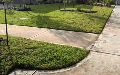Photo of Joe S.'s yard after getting lawn care in Ormond Beach, FL