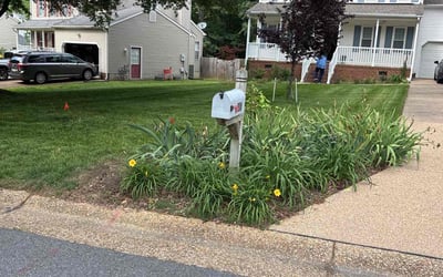 Photo of Fred A.'s yard after getting lawn care in Saint Augustine, FL