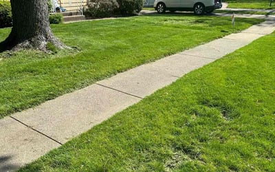 Photo of Mark E.'s yard after getting lawn care in Rock Island, IL
