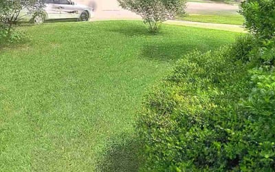 Photo of Samuel B.'s yard after getting lawn care in Pasadena, TX