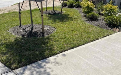 Photo of Cindy B.'s yard after getting lawn care in Conroe, TX