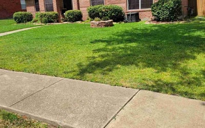 Photo of Dina C.'s yard after getting lawn care in Mesquite, TX