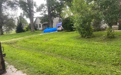Photo of Neftali R.'s yard after getting lawn care in Pontiac, MI