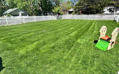 Photo of Jamile W.'s yard after getting lawn care in Lansdowne, PA