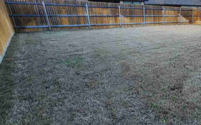 Photo of John H.'s yard after getting lawn care in Taylor, TX