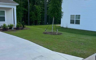 Photo of Shannon B.'s yard after getting lawn care in Blythewood, SC