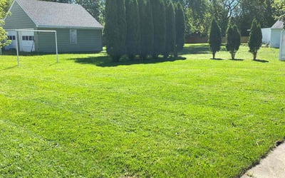Photo of Rebecca C.'s yard after getting lawn care in Appleton, WI