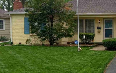 Photo of Marcea M.'s yard after getting lawn care in Mission, KS