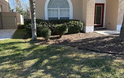 Photo of Clayton Q.'s yard after getting lawn care in Vail, AZ