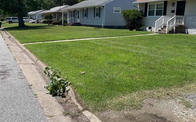 Photo of Tyler S.'s yard after getting lawn care in Cantonment, FL