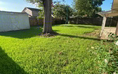Photo of Carolyn C.'s yard after getting lawn care in Stafford, TX