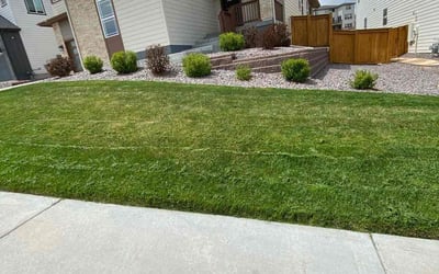 Photo of Tami S.'s yard after getting lawn care in Castle Pines, CO