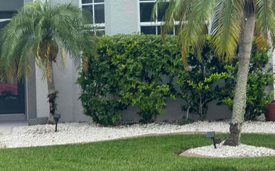 Photo of Bernie L.'s yard after getting lawn care in East Meadow, NY