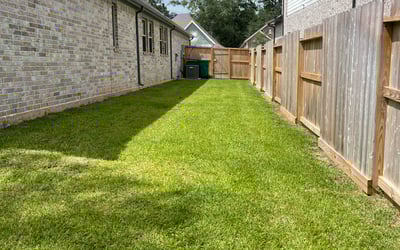 Photo of Sherry L.'s yard after getting lawn care in Mesa, AZ