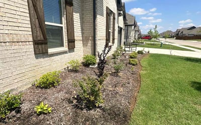 Photo of Courtney K.'s yard after getting lawn care in Greenville, TX