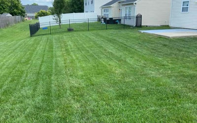 Photo of Sarah P.'s yard after getting lawn care in Indianapolis, IN
