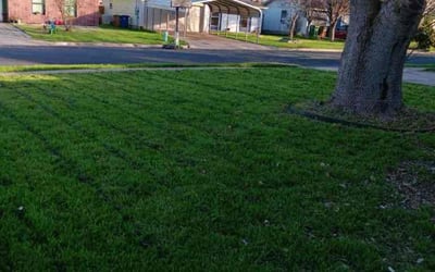 Photo of Bernadette C.'s yard after getting lawn care in North Providence, RI