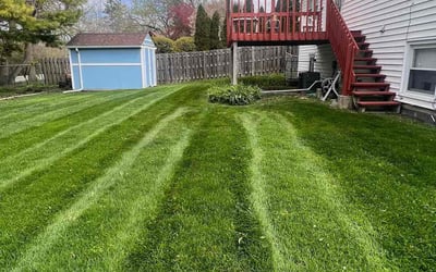 Photo of Rachel U.'s yard after getting lawn care in Vernon Hills, IL