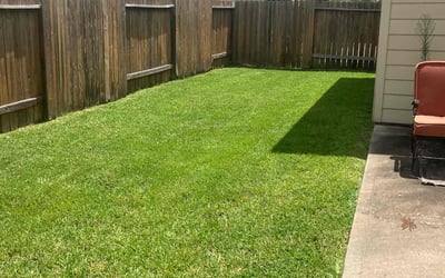 Photo of Pamela H.'s yard after getting lawn care in Martinez, CA