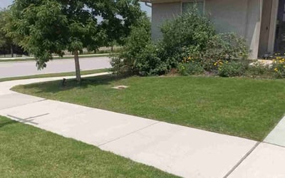 Photo of Lauren G.'s yard after getting lawn care in Dripping Springs, TX