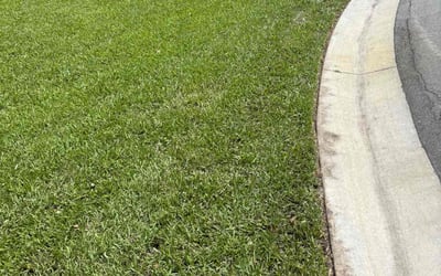 Photo of Brad P.'s yard after getting lawn care in Grayslake, IL