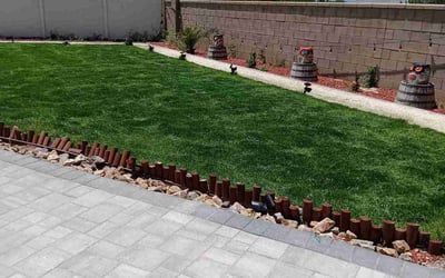 Photo of Mary N.'s yard after getting lawn care in Hesperia, CA