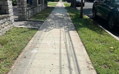 Photo of Duane D.'s yard after getting lawn care in Jackson Heights, NY
