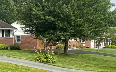 Photo of Troy H.'s yard after getting lawn care in Lancaster, PA
