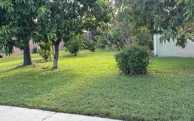Photo of Tiffany E.'s yard after getting lawn care in Lodi, CA