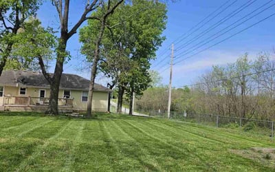 Photo of Jon C.'s yard after getting lawn care in Pleasant Hill, MO