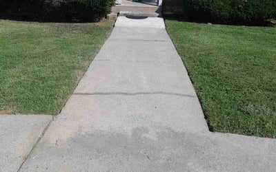 Photo of Rmize N.'s yard after getting lawn care in Towson, MD