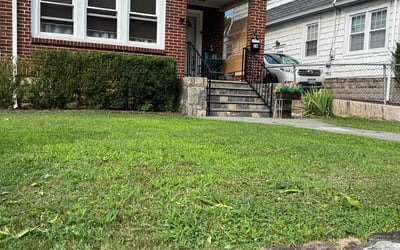 Photo of Charlene H.'s yard after getting lawn care in Spring Valley, NY