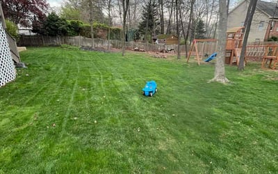 Photo of Chirag P.'s yard after getting lawn care in Ashburn, VA