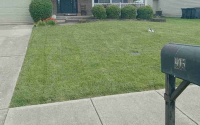 Photo of Noreen C.'s yard after getting lawn care in Trenton, OH