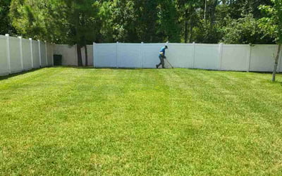 Photo of Belle G.'s yard after getting lawn care in Deltona, FL