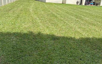 Photo of John C.'s yard after getting lawn care in Astoria, NY