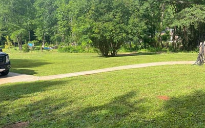 Photo of Braylin A.'s yard after getting lawn care in Lombard, IL