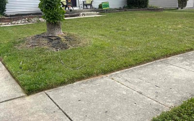 Photo of Carla T.'s yard after getting lawn care in Sicklerville, NJ