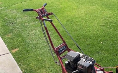 Photo of Carl R.'s yard after getting lawn care in Cupertino, CA