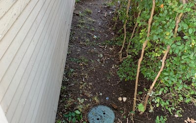 Photo of Kathryn Y.'s yard after getting lawn care in Holland, MI