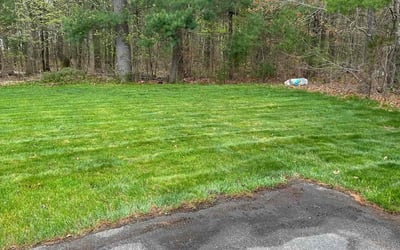Photo of Edward L.'s yard after getting lawn care in Mansfield, MA