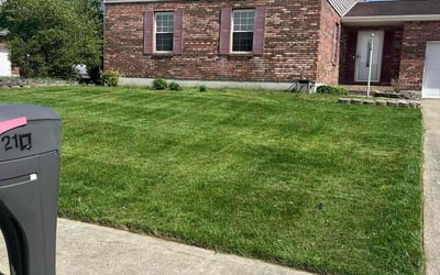 Photo of Papa W.'s yard after getting lawn care in Florence, KY
