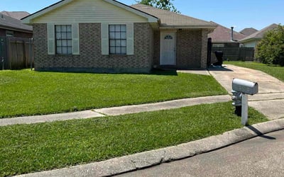 Photo of Tsarina B.'s yard after getting lawn care in New Orleans, LA