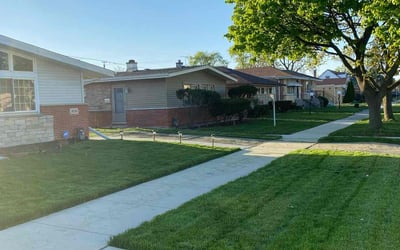Photo of Danielle H.'s yard after getting lawn care in Oak Park, IL