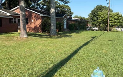 Photo of Christopher W.'s yard after getting lawn care in Chattanooga, TN