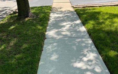 Photo of Jennifer G.'s yard after getting lawn care in La Grange Park, IL